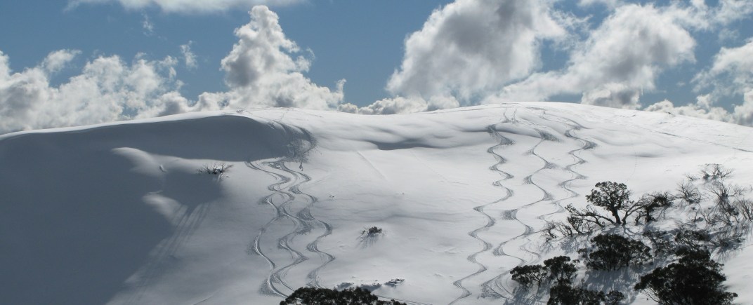 Eagle Ridge sidecountry, Mount Hotham, Australia